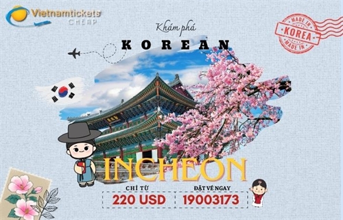  Vé máy bay Hà Nội Incheon chỉ từ 200 USD | Đặt ngay